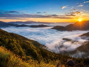 Alishan sunrise during a private tour